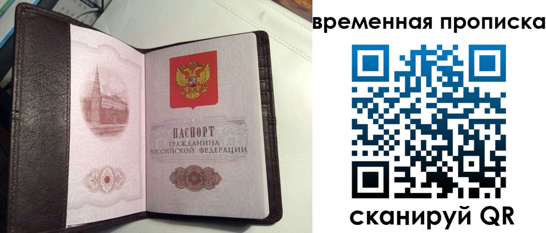 прописка 2025 в Ярославской области